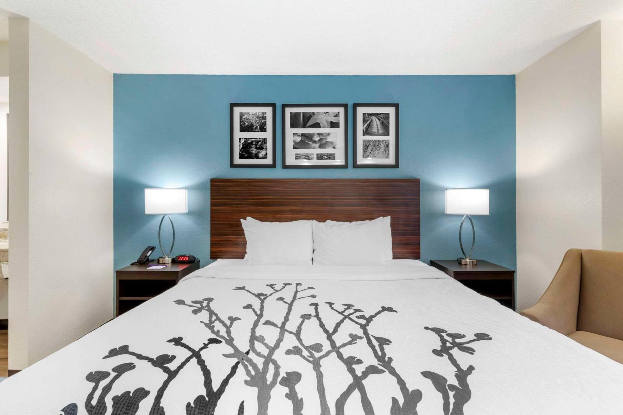 King Room - Accessible/Non Smoking