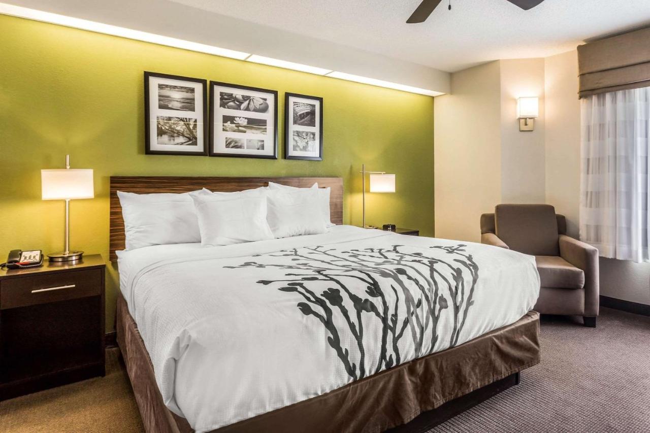 Standard King Room