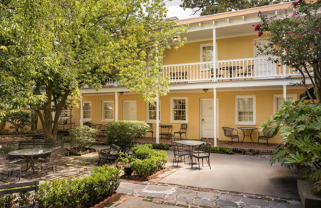 The Jasmine House-1