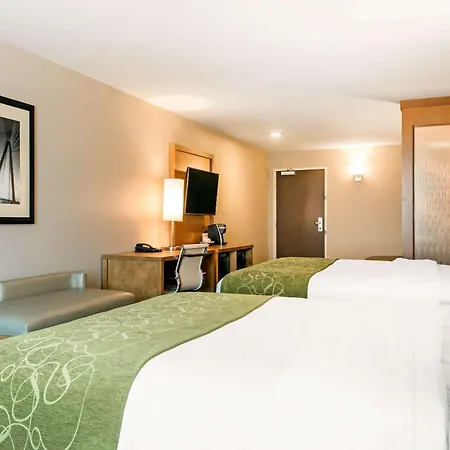 Comfort Suites North Charleston - Ashley Phosphate-2