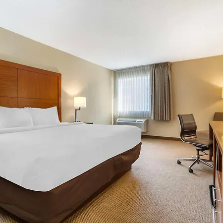 Comfort Inn & Suites Charleston Airport Convention Center-3