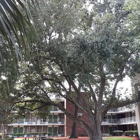 Days Inn By Wyndham Mt Pleasant-Charleston-Patriots Point-2